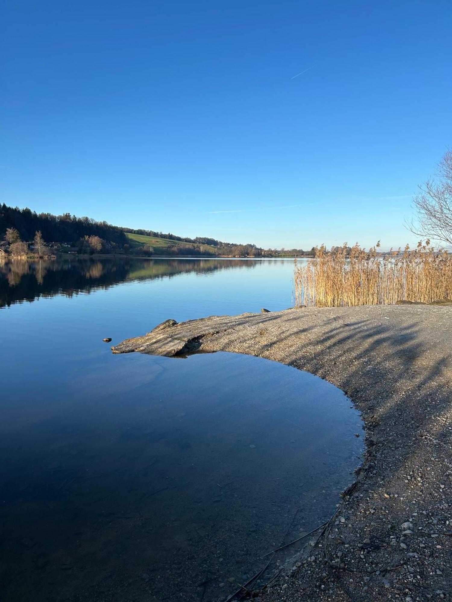 Ferienwohnungen Am See Obertrum am See Ngoại thất bức ảnh